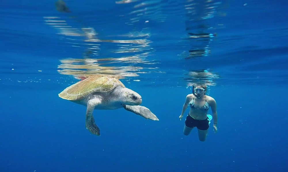 Snorkeling for First-Timers: Gear, Technique, and Overcoming Fear of the Water